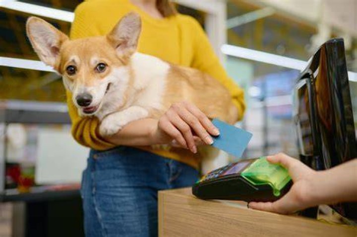 Are Dogs Allowed In Hobby Lobby