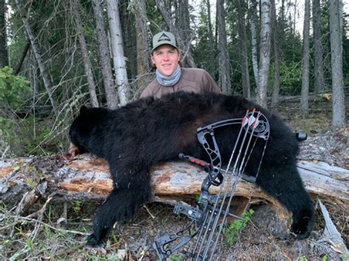 Can a compound bow kill a bear