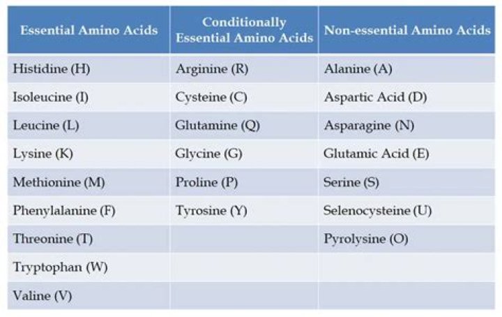 Can a non essential amino acids become essential