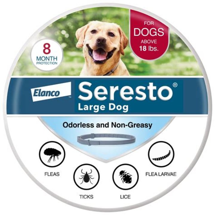 Can a Seresto collar make my dog sick
