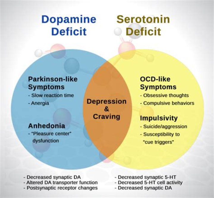 Does chamomile affect serotonin