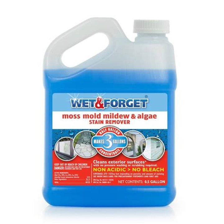 Does Wet and Forget kill moss