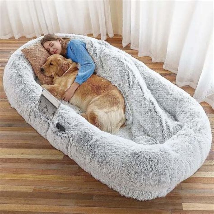 How do you make a Snuggle Dog Bed