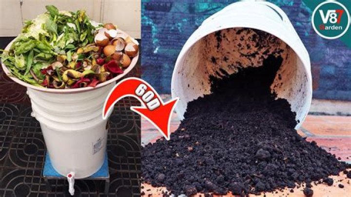 How do you start a kitchen compost