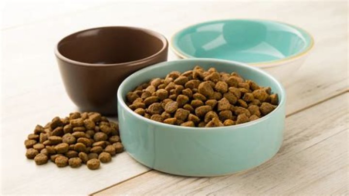 How Many Cups In A Pound Of Dog Food