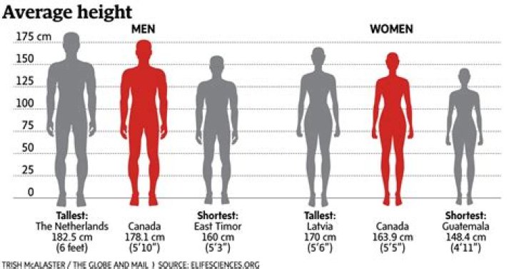 How Tall Is 177 Cm