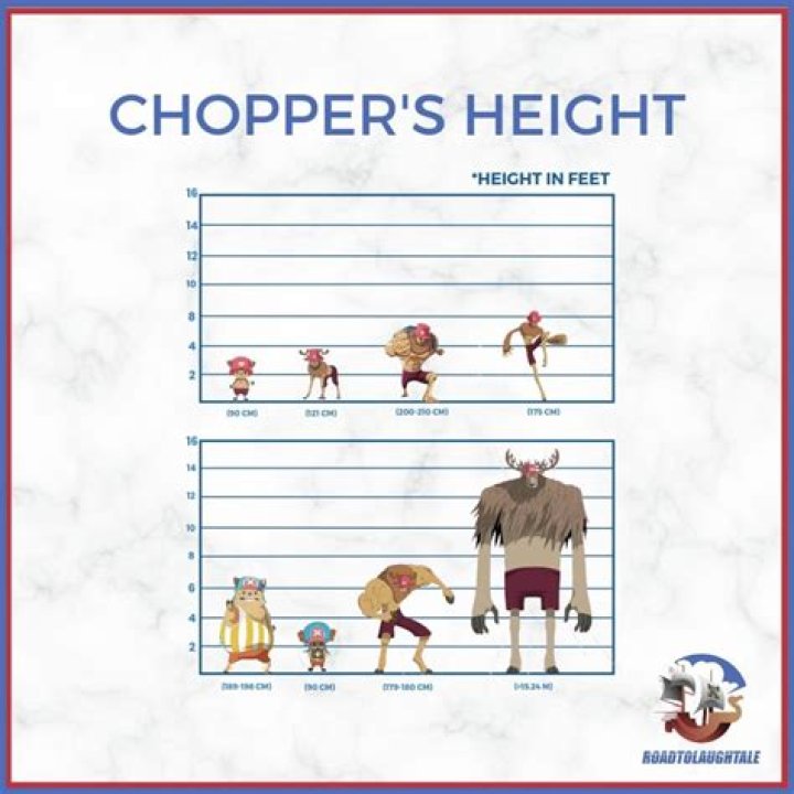 How Tall Is Chopper
