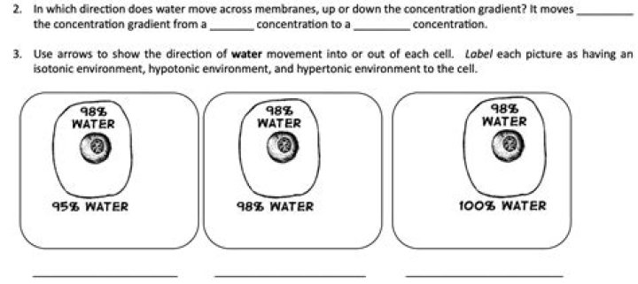 In which direction does water move across membranes