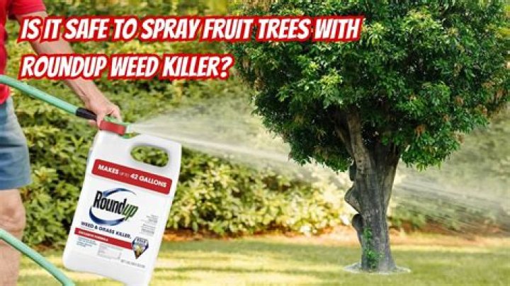 Is it safe to use Roundup near trees