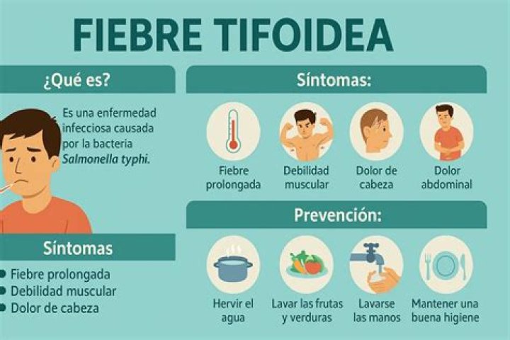 ¿Qué provoca la fiebre tifoidea