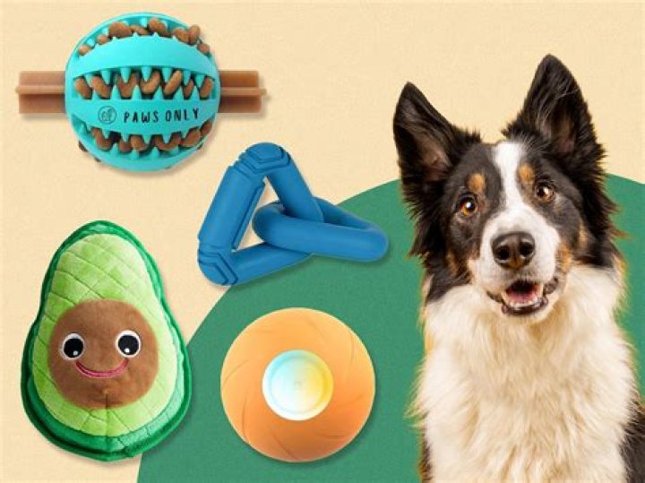 Question: Can Dogs Go To Home Goods