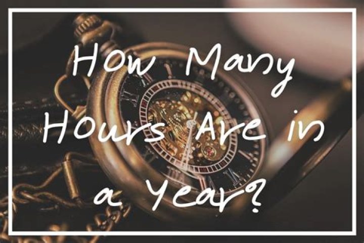 Question: How Many Hours In An Year