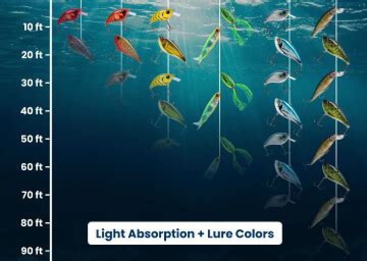 Question: What Color Fishing Lure To Use In Clear Water