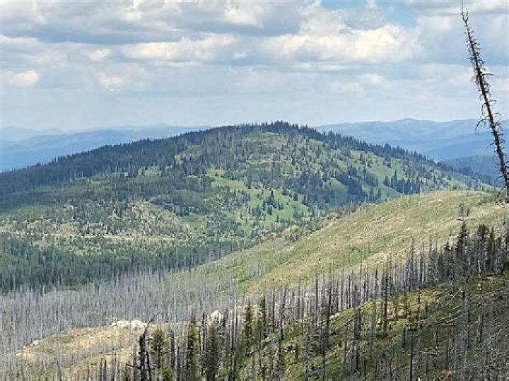 Question: Where Is Buck’s Peak Idaho