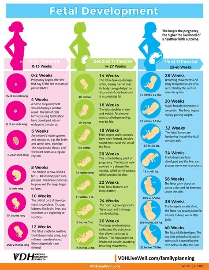 Quick Answer: Can You Travel When Your 37 Weeks Pregnant