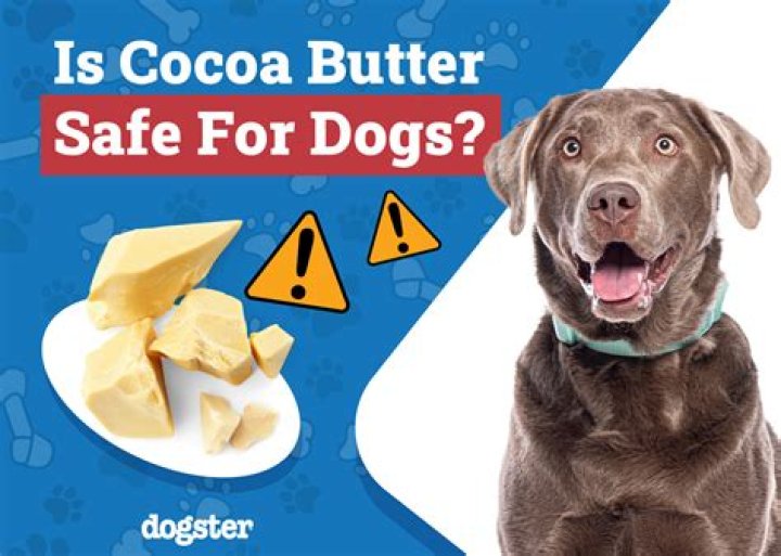 Quick Answer: Is Skippy Peanut Butter Safe For Dogs