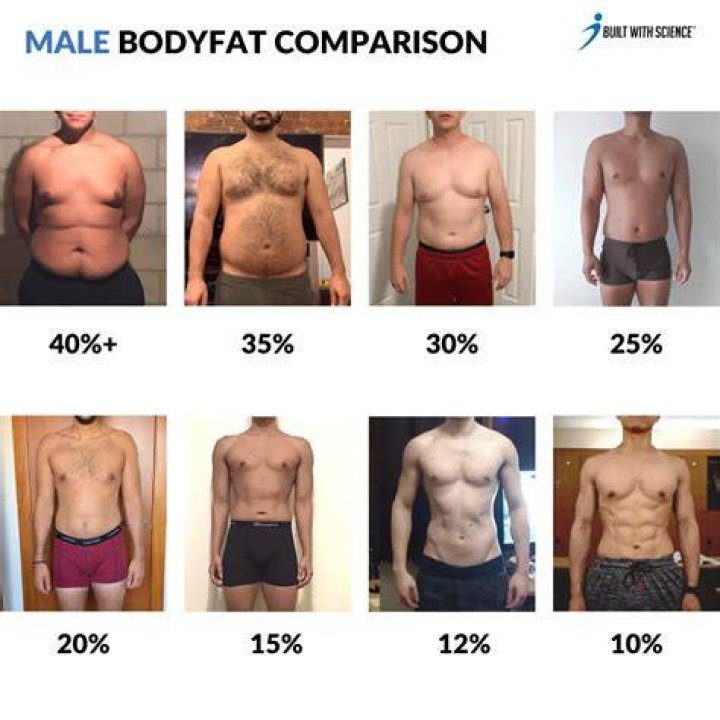 Quick Answer: What Does 14 Percent Body Fat Look Like
