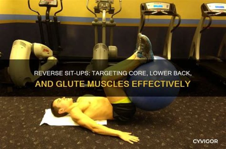 Quick Answer: What Is A Reverse Sit Up