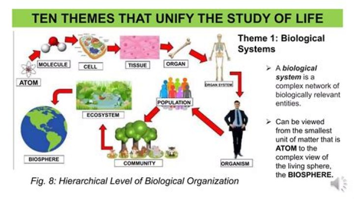 What are some common themes of biology