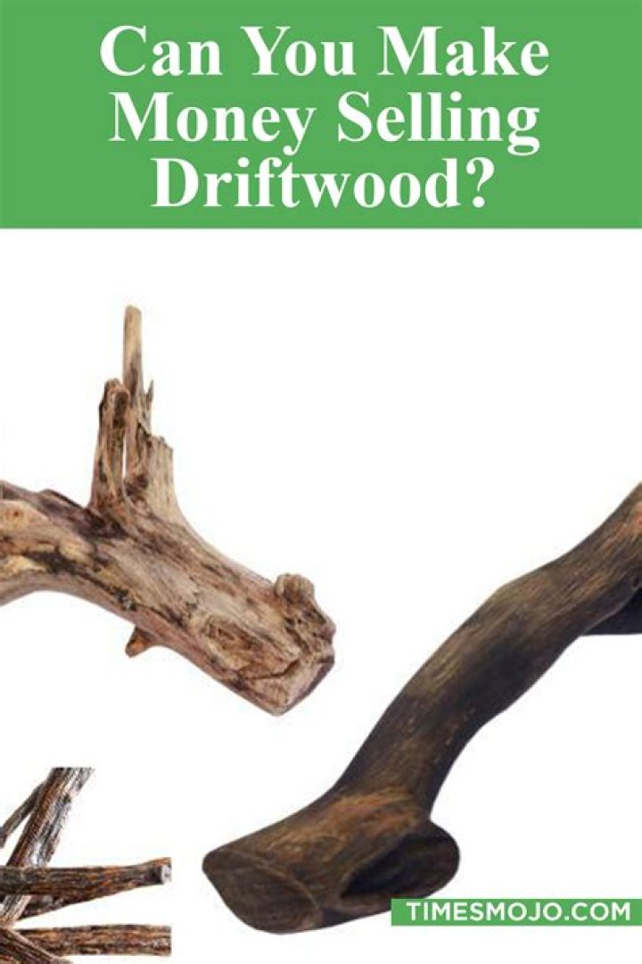 What can I make with sand dollars