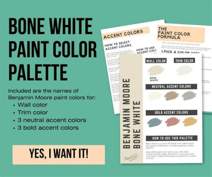 What color is bone white paint