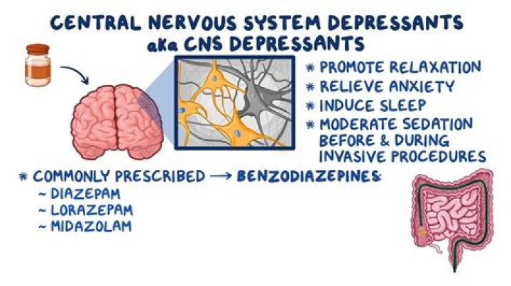 What does a CNS do