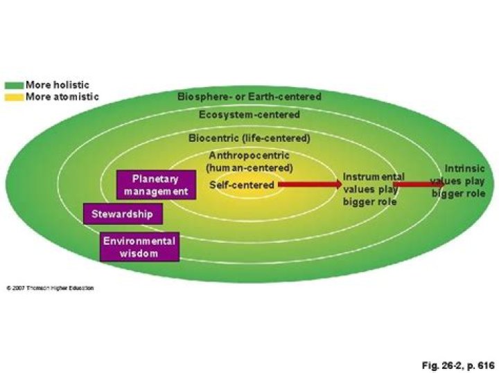 What human centered environmental worldviews guide most industrial societies
