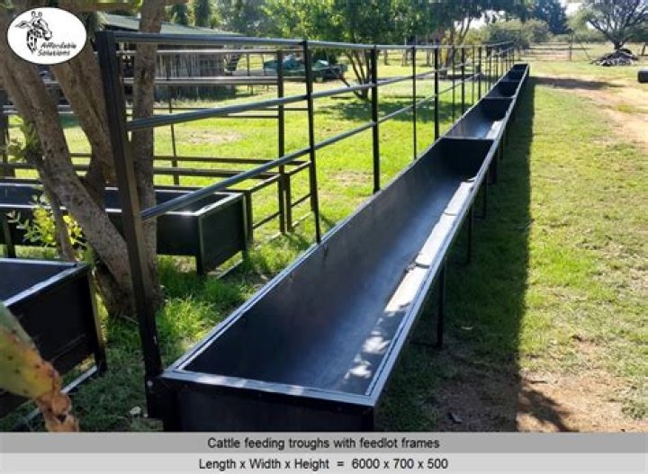 What is a feeding rack for cattle