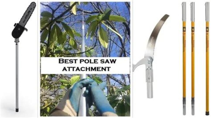What is the best pole saw to buy