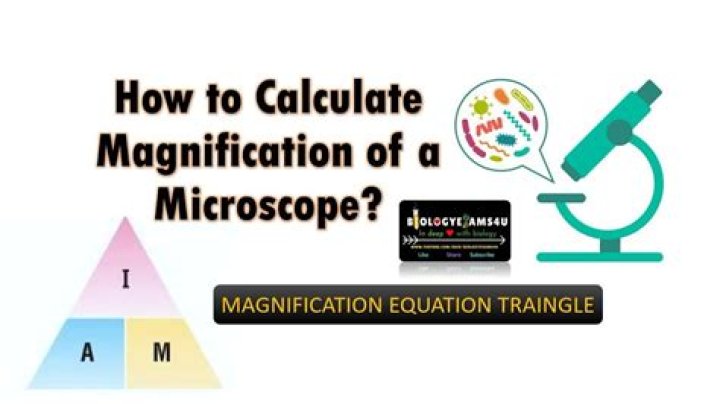 Which of the following is the correct formula for calculating total magnification using the microscope