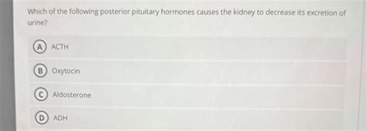 Which of the following posterior pituitary hormones causes the kidney to decrease its excretion of urine